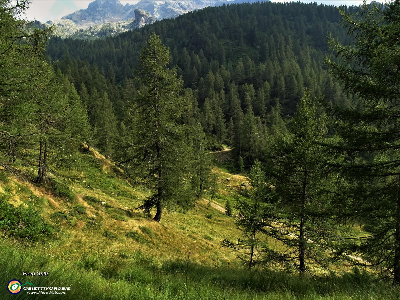 72 Lasciamo il sent. 258 e a vista scendiamo ad agganciare stradetta del Lago della cava.JPG